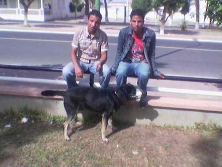 moi ; et rachd (roki)